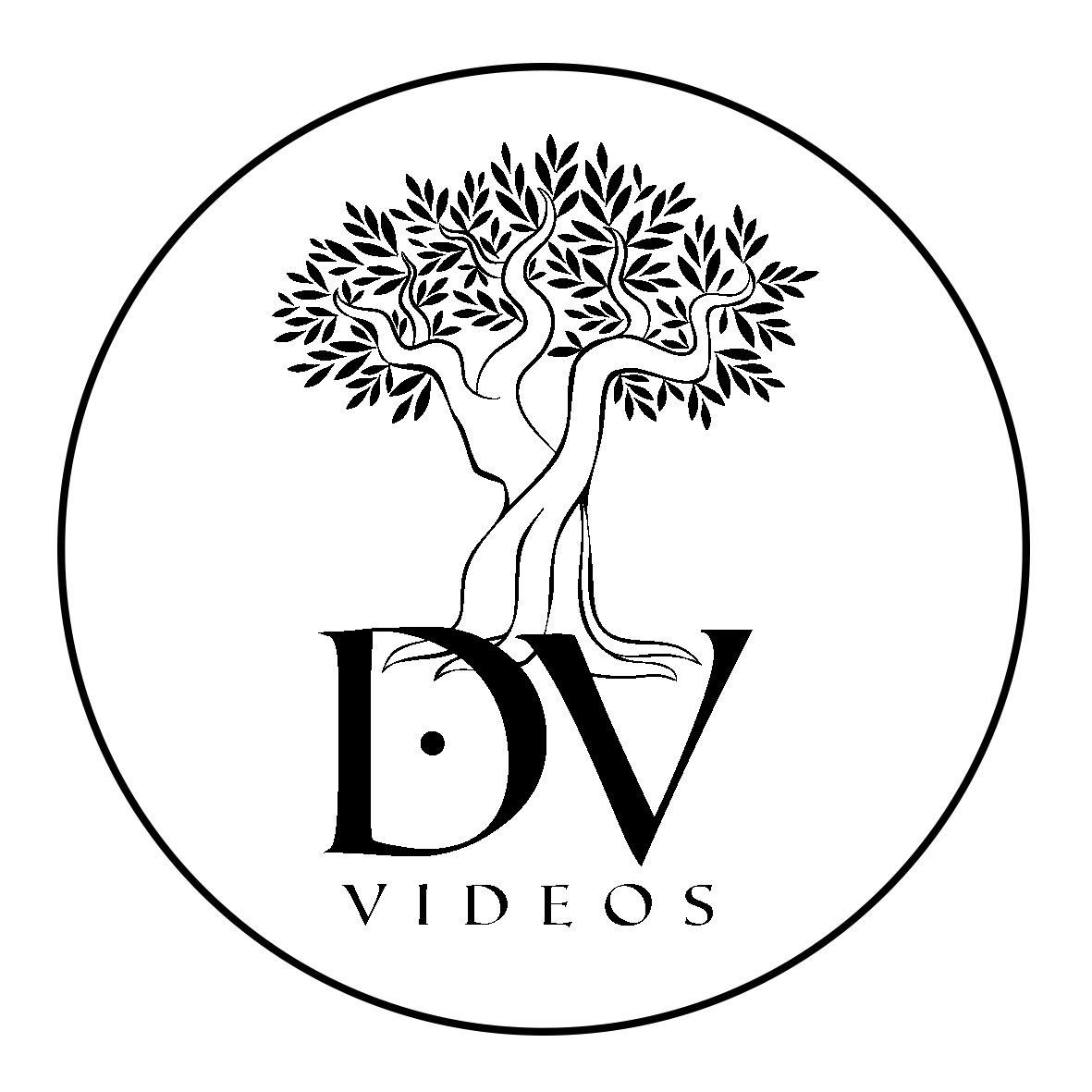 Video de Boda David Vega Merino en Madrid